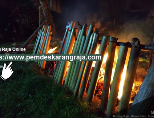 Akses Semua Informasi Seputar Desa Karang Raja Secara Online